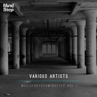 VA – MusicForYourMindStep Vol 1