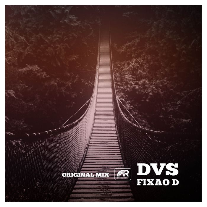 DVS – Fixao D