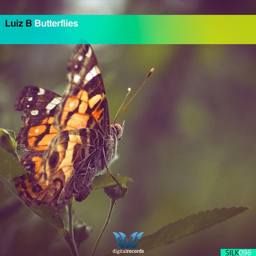 Luiz B – Butterflies