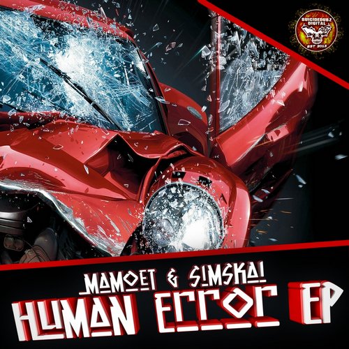 Mamoet & Simskai – Human Error