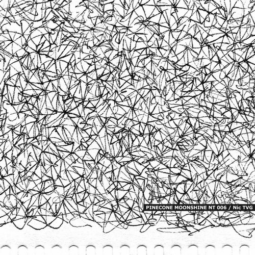 Nic TVG – Sampling