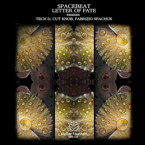 Spacebeat – Letter of Fate
