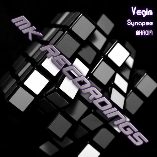 Vegim – Synapse