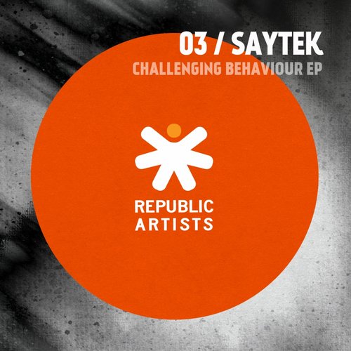 Saytek – Challenging Behaviour