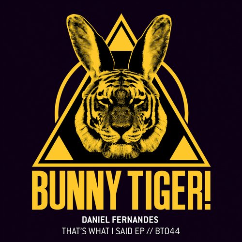 Daniel Fernandes – That’s What I Said EP