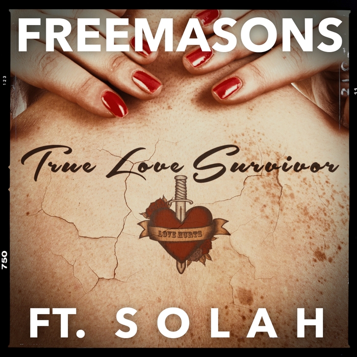 Freemasons Feat. SOLAH – True Love Survivor