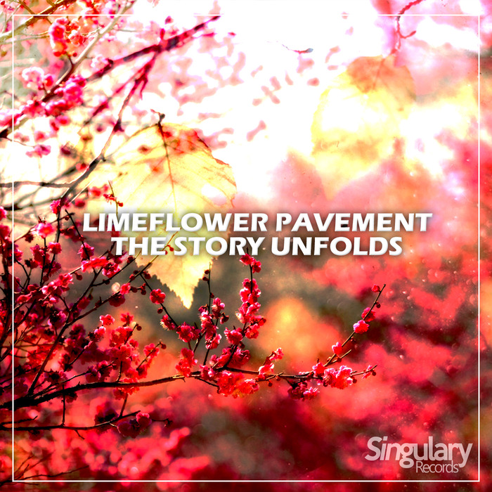Limeflower Pavement – The Story Unfolds