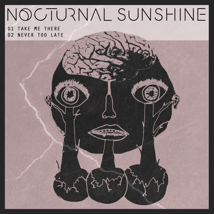 Nocturnal Sunshine – Take Me There