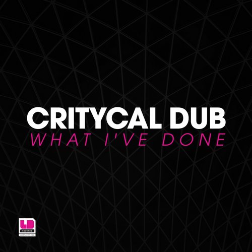 Critycal Dub – What I’ve Done