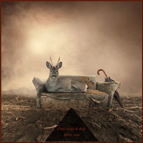 Ralf & Christ Volis – Miss You