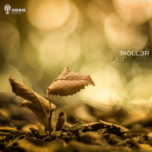 TrOLL3R – AEnigma