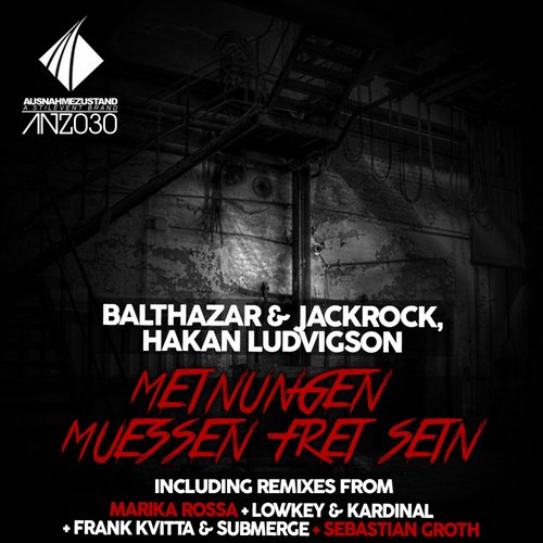 Hakan Ludvigson, Balthazar & JackRock – Meinungen Muessen Frei Sein: The Remixes