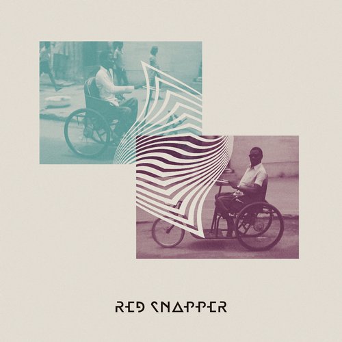 Red Snapper – Wonky Bikes
