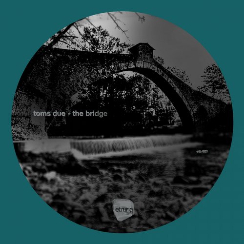 Toms Due – The Bridge