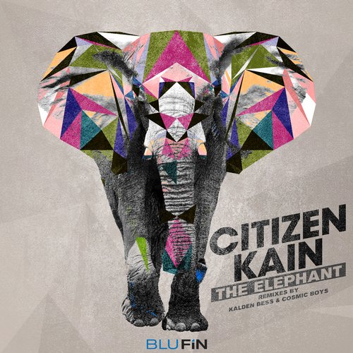 Citizen Kain – The Elephant