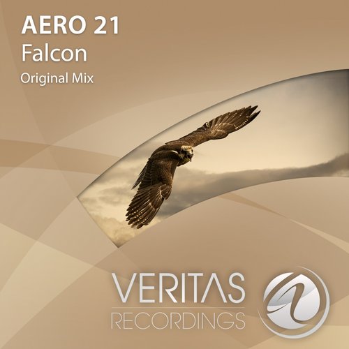 Aero 21 – Falcon