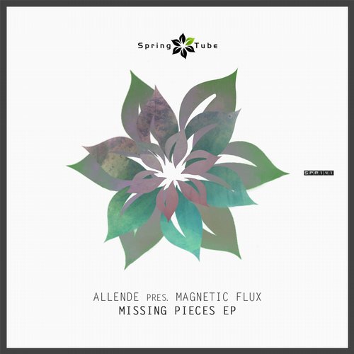 Allende pres. Magnetic Flux – Missing Pieces
