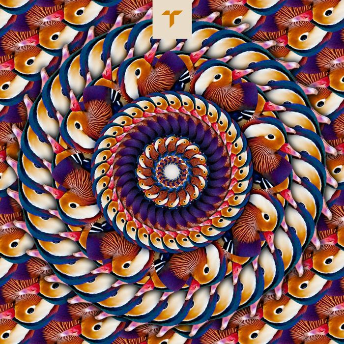Anton F – Indigo E.P.