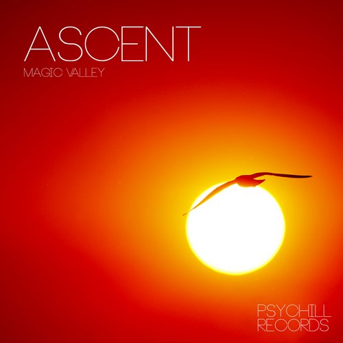 Ascent – Magic Walley
