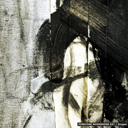 Snaper – Grey Line