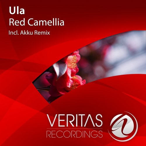 Ula – Red Camellia