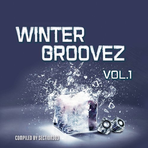 Winter Groovez, Vol.1 (Compiled by Section303)