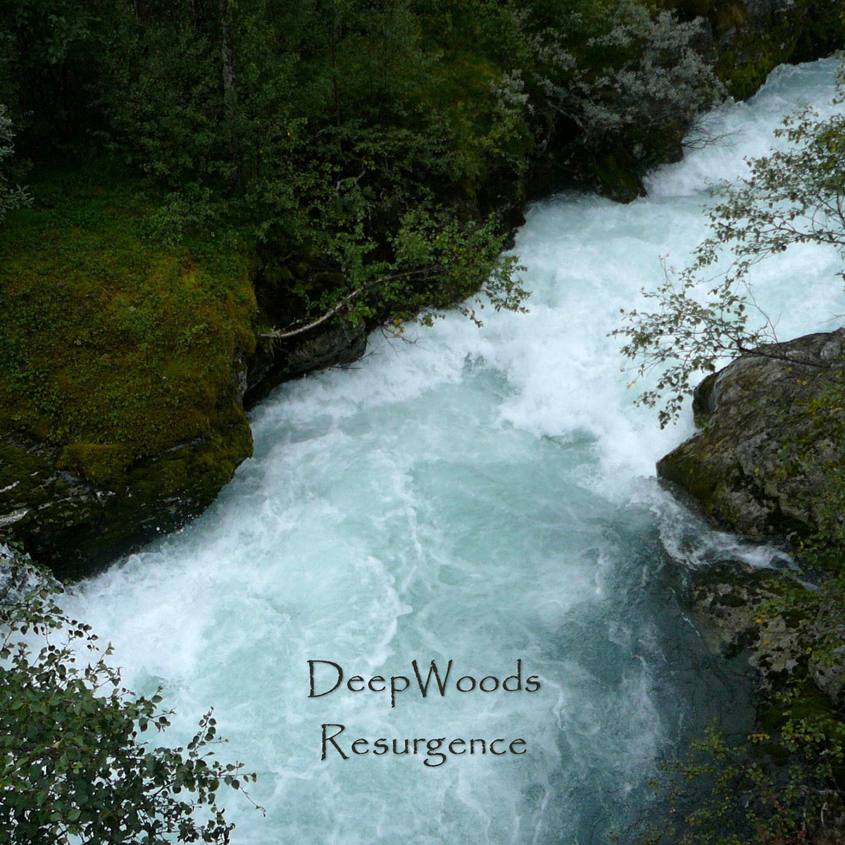 DeepWoods – Resurgence