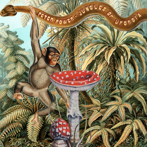 Peter Power – Jungles of Ufordia