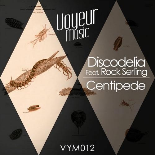 Discodelia – Centipede