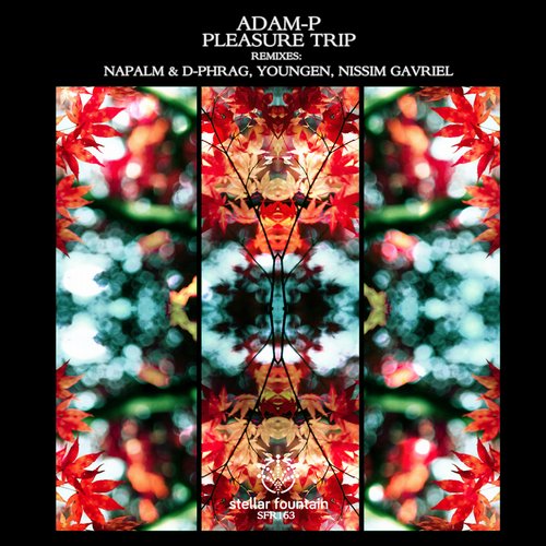 Adam-P – Pleasure Trip