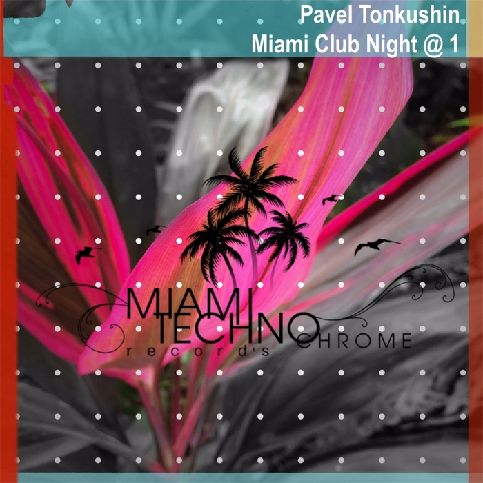 Pavel Tonkushin – Miami Club Night 1
