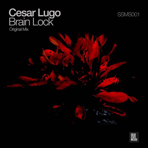 Cesar Lugo – Brain Lock