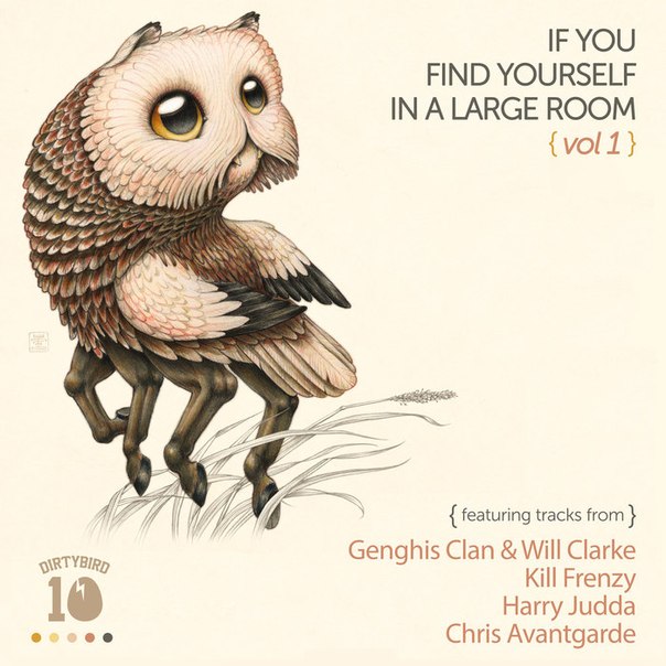 Dirtybird: If You Find Yourself In A Large Room Vol. 1