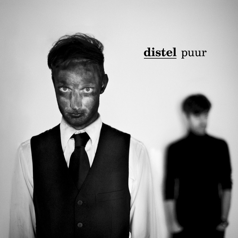 Distel – Puur