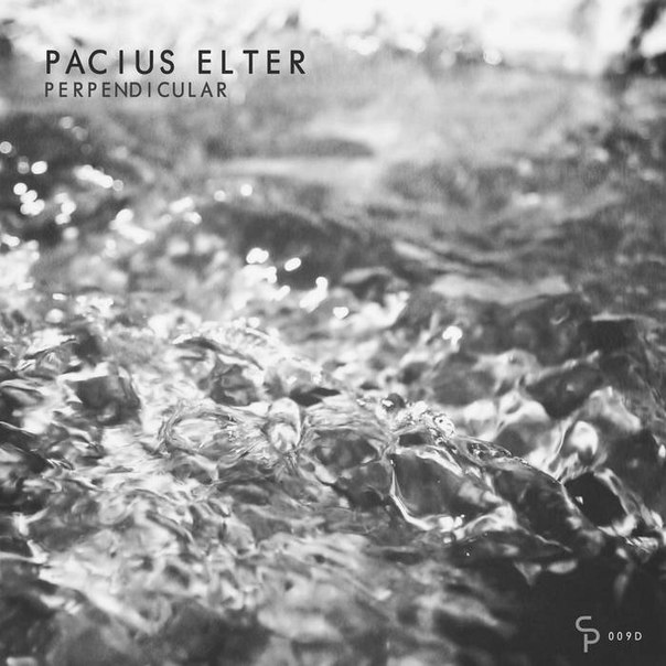 Pacius Elter – Perpendicular