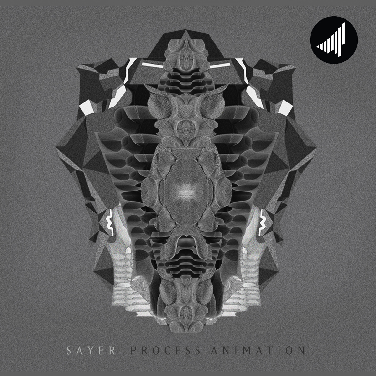 Sayer – Process Animation