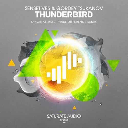 Sensetive5 & Gordey Tsukanov – Thunderbird