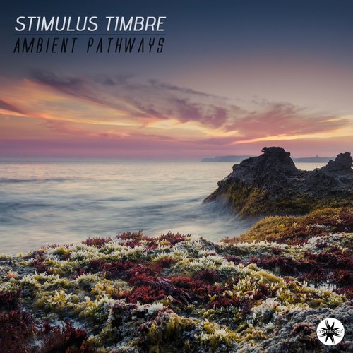 Stimulus Timbre – Ambient Pathways