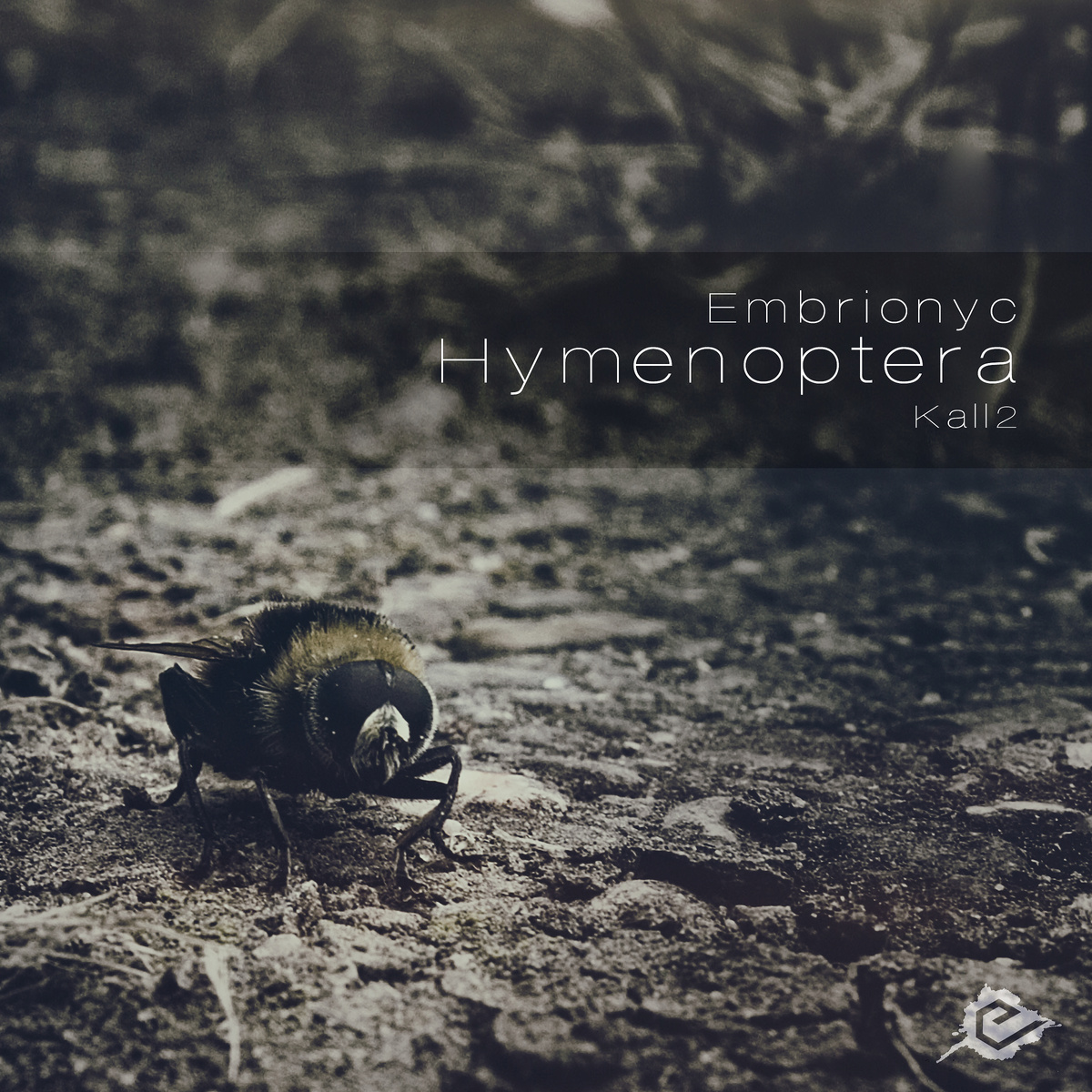 Embrionyc – Hymenoptera
