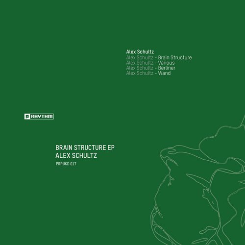 Alex Schultz – Brain Structure