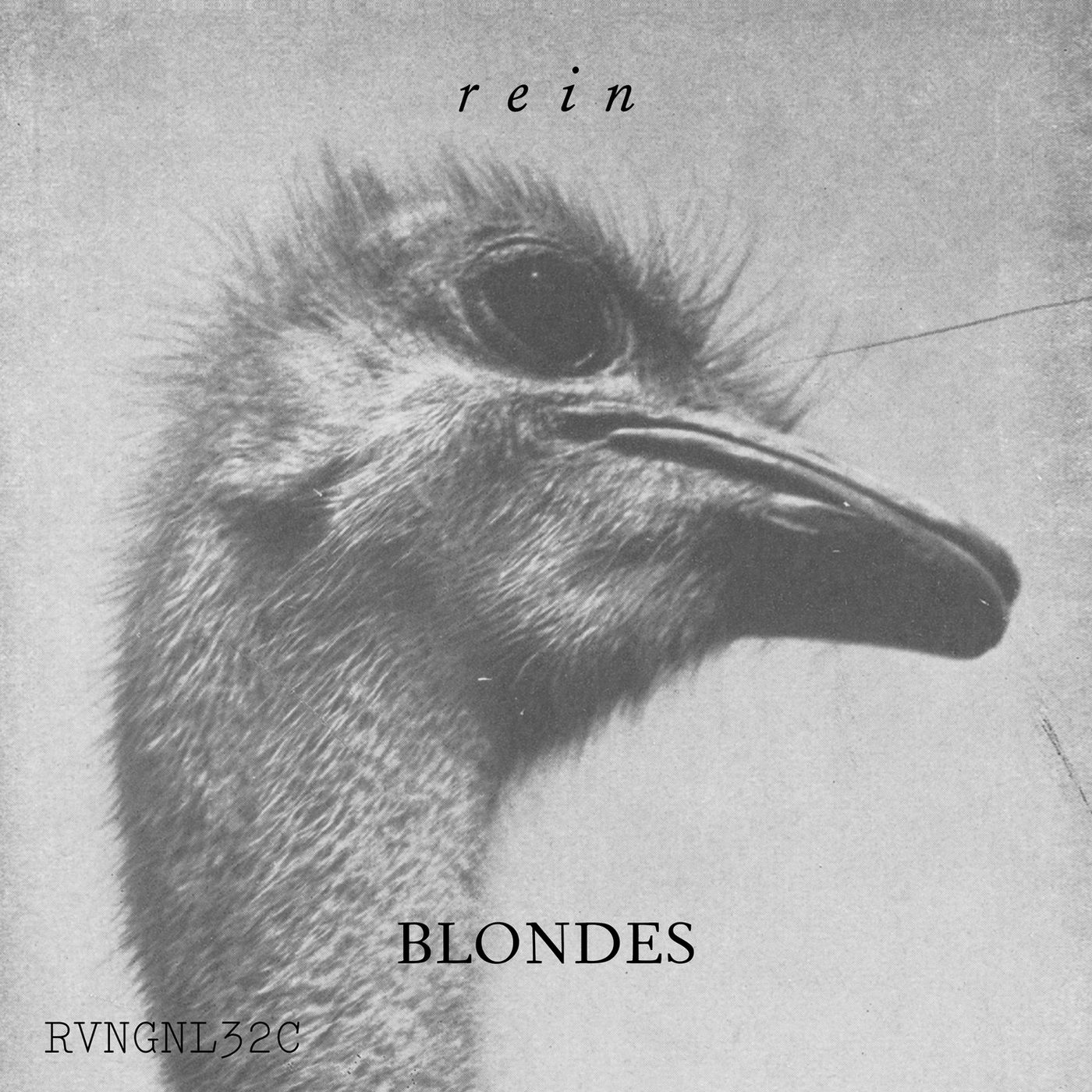 Blondes – Rein