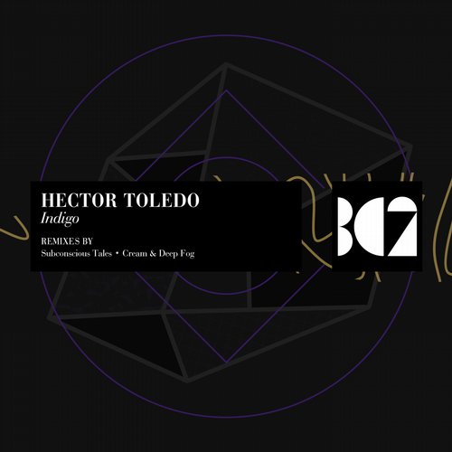Hector Toledo – Indigo