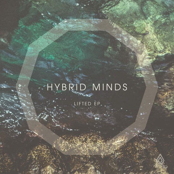 Hybrid Minds – Lifted