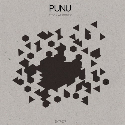 Punu – 2058 / Wildcards