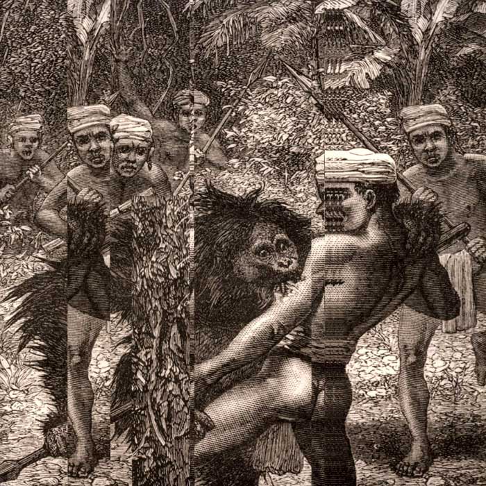 Nu Guinea – World