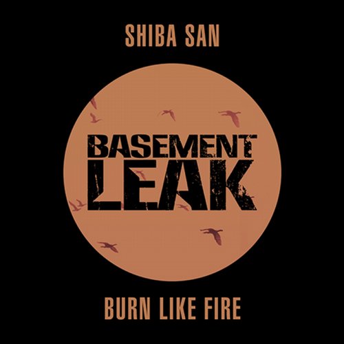 Shiba San – Burn Like Fire