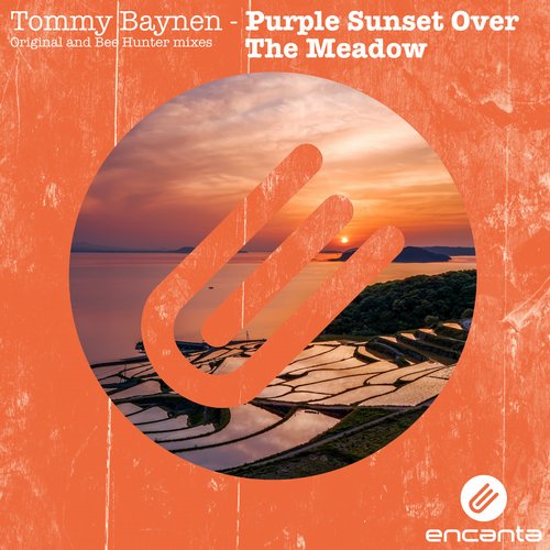 Tommy Baynen – Purple Sunset Over The Meadow
