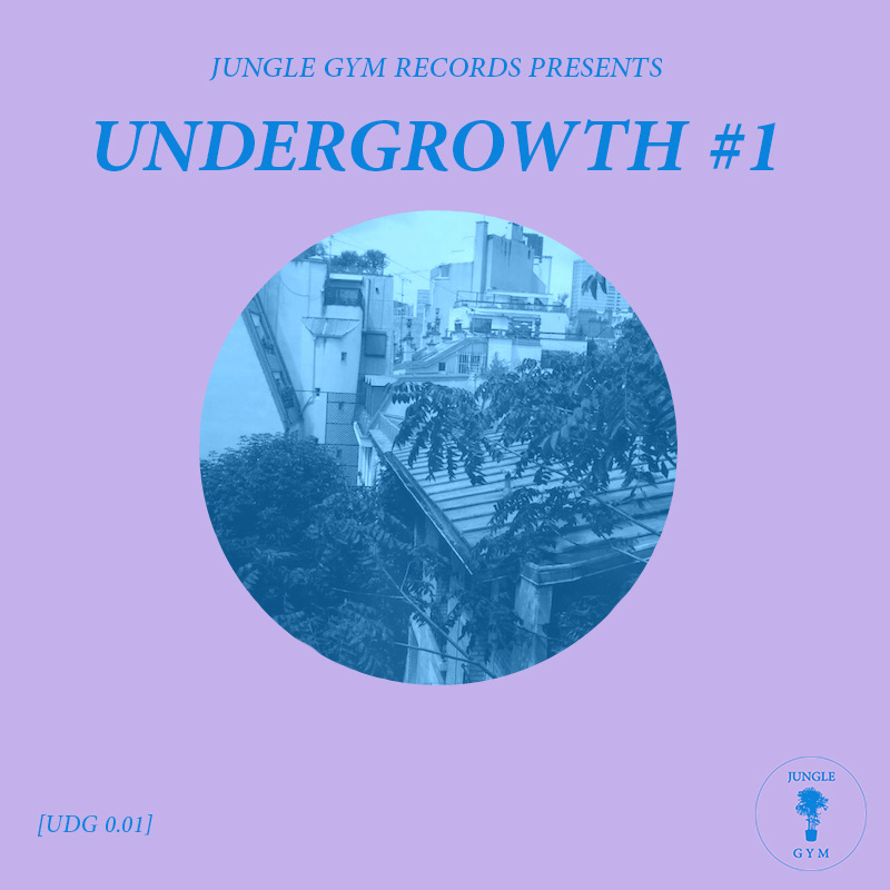 Jungle Gym Records: Undergrowth #1