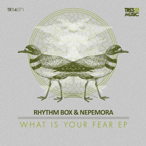 Rhythm Box, Nepemora – What Is Your Fear