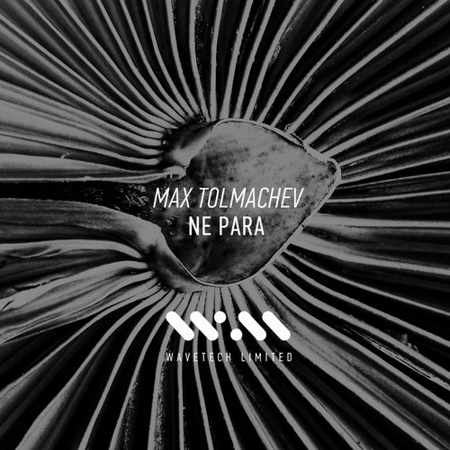 Max Tolmachev – Ne Para